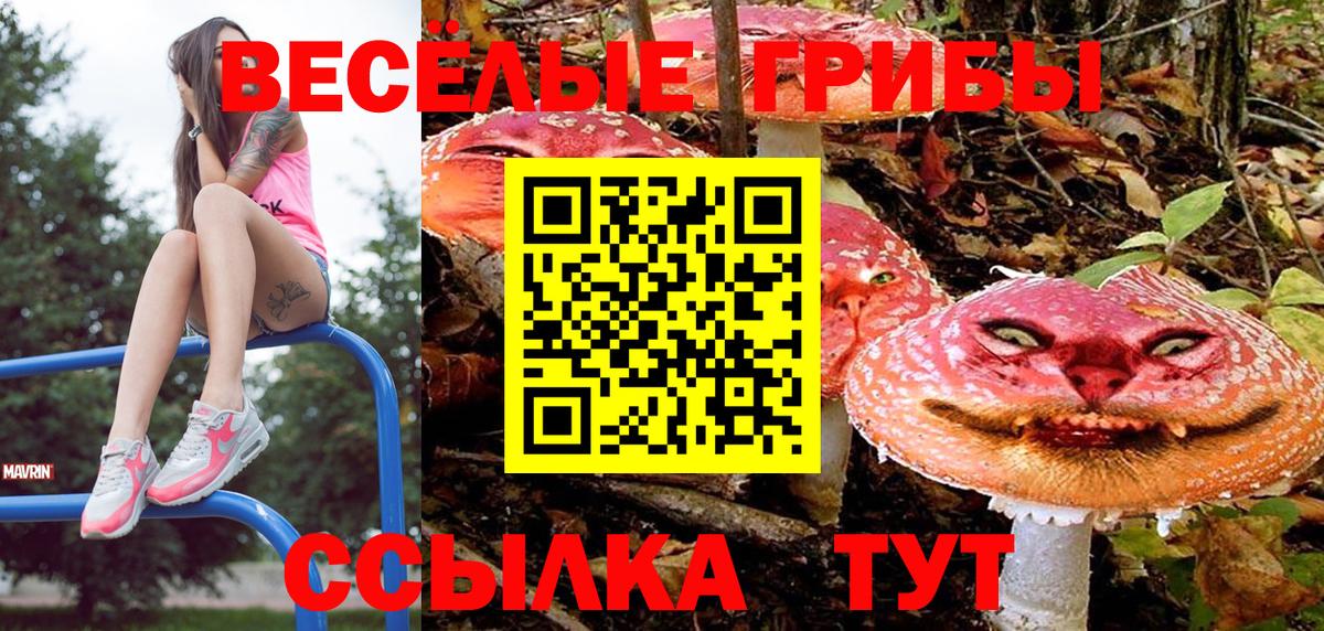 Галлюциногенные грибы MAGIC MUSHROOMS Якутск