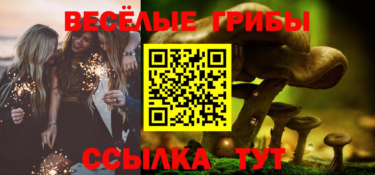 Псилоцибиновые грибы прущие грибы  Вход с VPN  Якутск  Галлюциногенные грибы ЛСД 